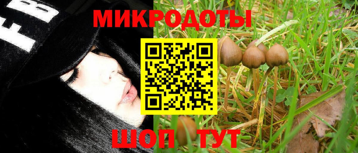 Псилоцибиновые грибы ЛСД  Вход с VPN  Среднеуральск 